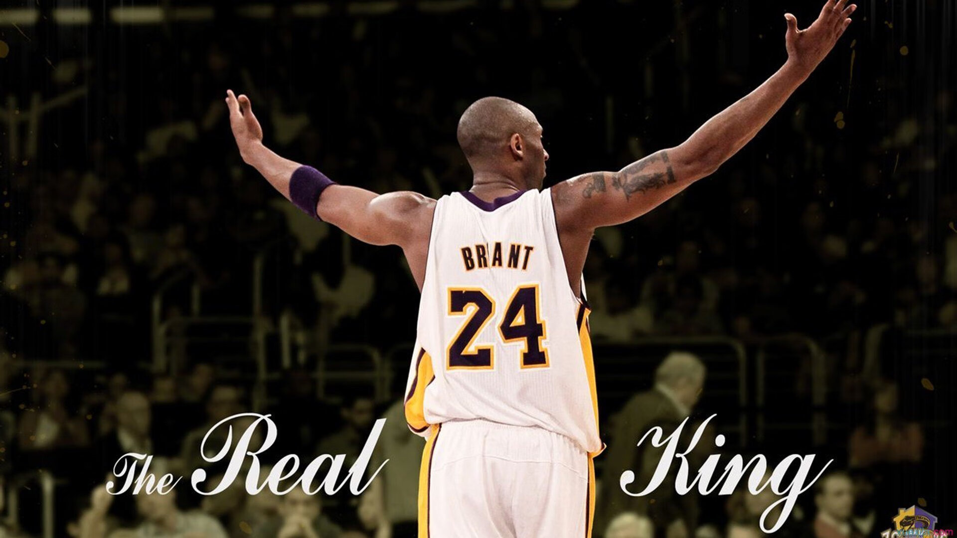 篮球运动员心理适应性训练与比赛表现关系，篮球运动员的心理素质训练应把重点放在